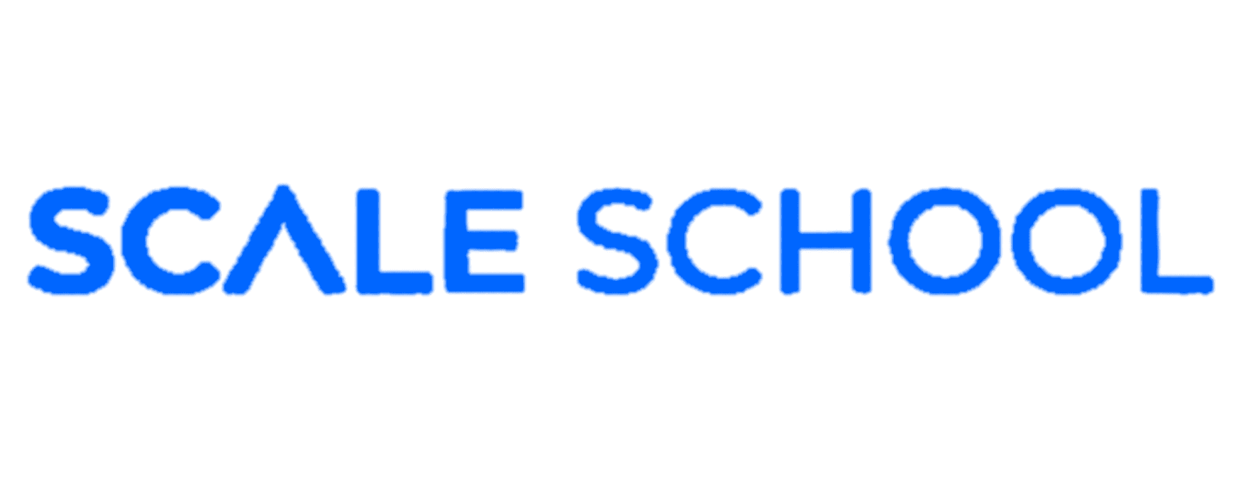 Scale School